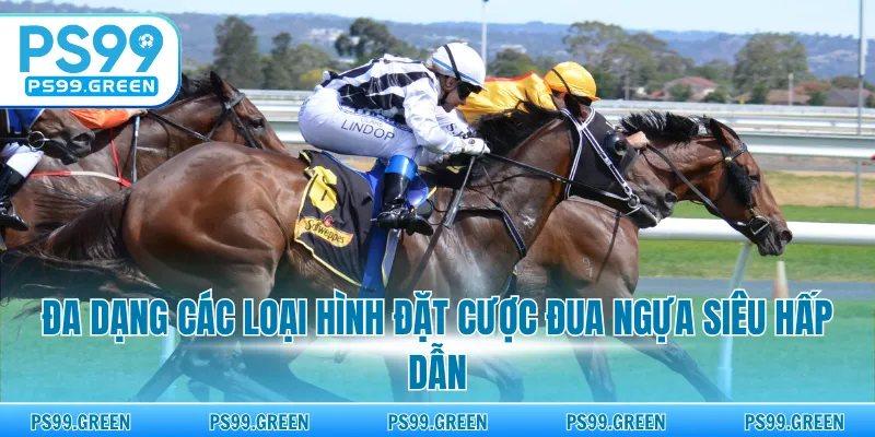 Đa dạng các loại hình đặt cược đua ngựa siêu hấp dẫn