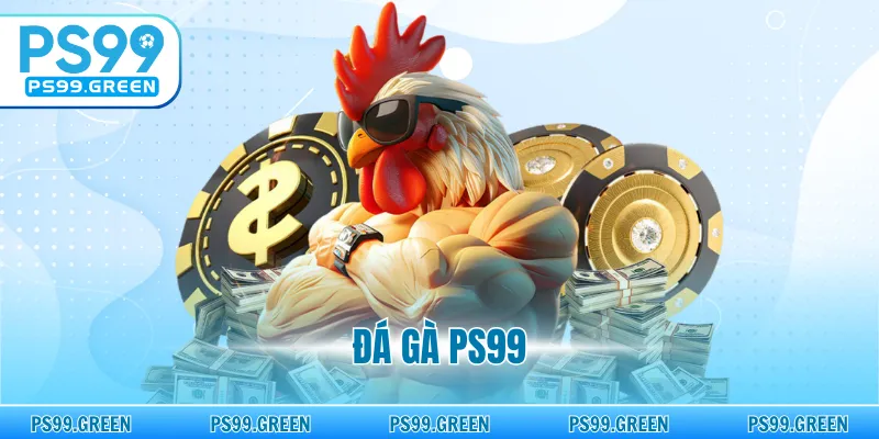 Đá Gà PS99 - Livestream Sắc Nét, Đường Truyền Ổn Định